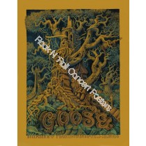Goose @ The 1STBANK Center Broomfield/ Denver Colorado December 16th,17th 2022  Bronze Variant Show Edition 1st Edition by David Welker