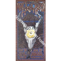 Widespread Panic Dallas, Houston Texas  6/26-27/2001 Official 1st Edition Poster
