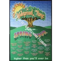 Widespread Panic Spring Tour 2000 1st Edition Poster